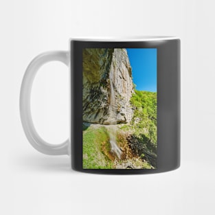 Vanturatoarea waterfall Mug